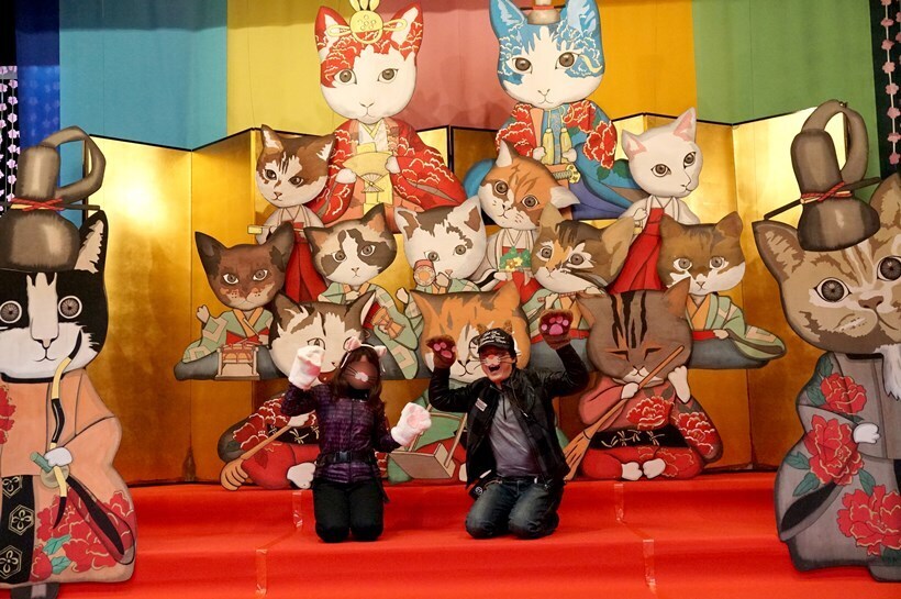 猫.JPG