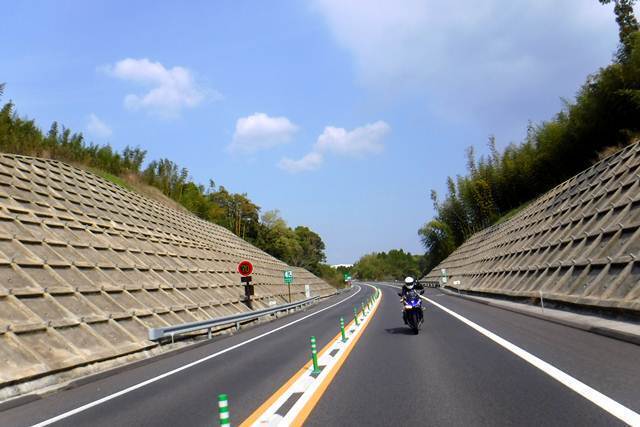 p1.JPG