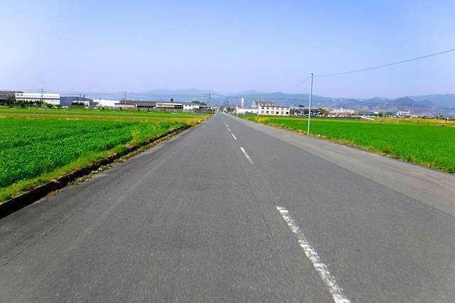 p12.JPG