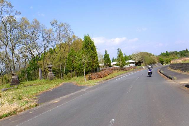 p13.JPG