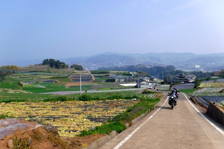 p21.JPG