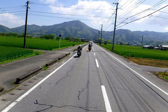 p3.JPG