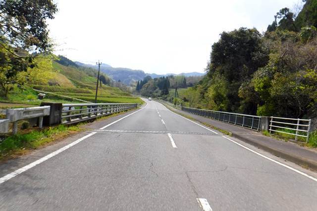 p6.JPG