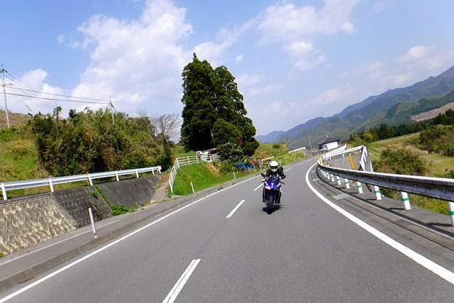 p8.JPG