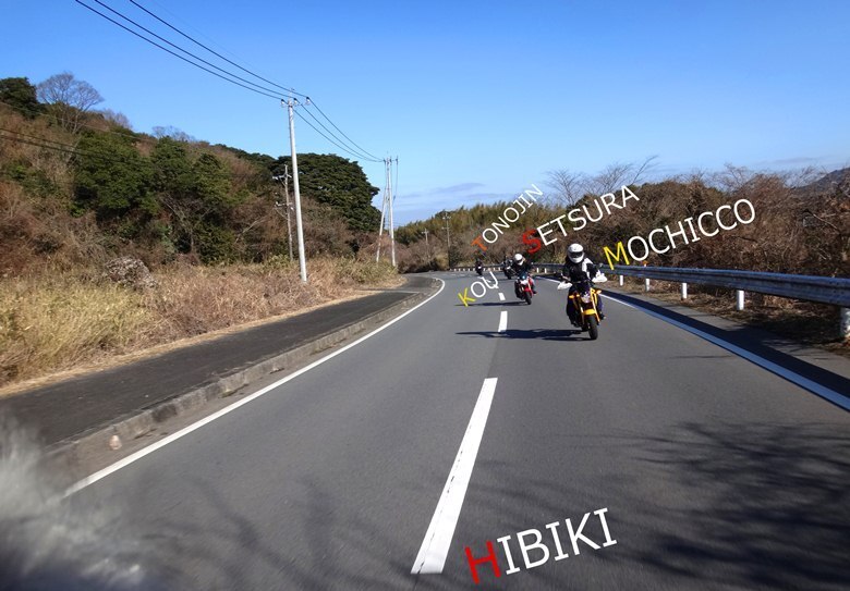t2.JPG