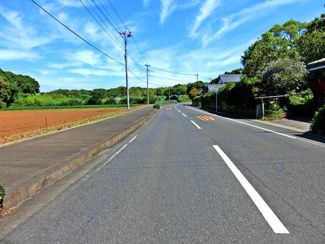 z10.JPG